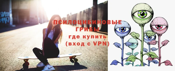прущие крисы Богданович